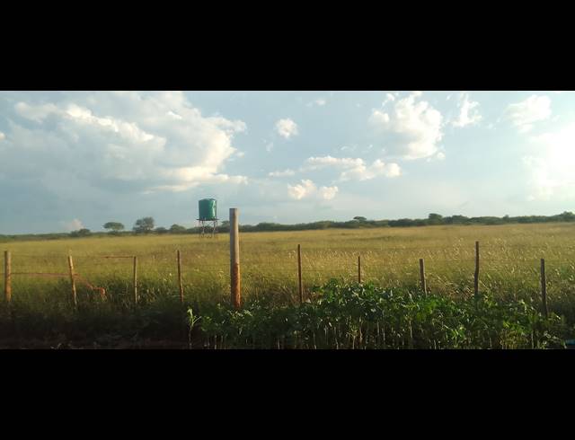 14HA FARM FOR SALE IN HA-MATSA